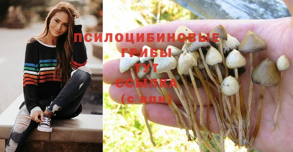 крисы Алексин