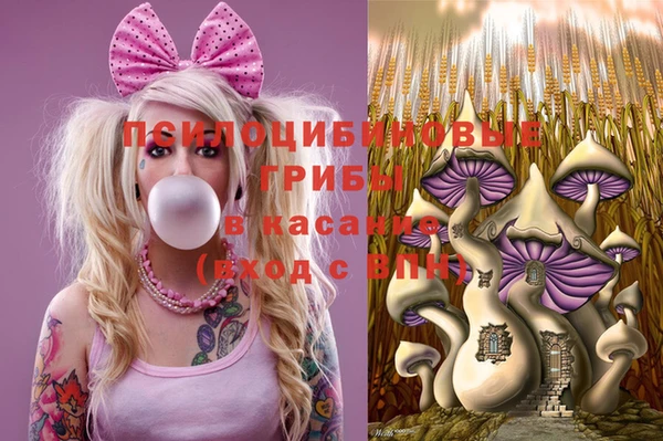 СК Алзамай