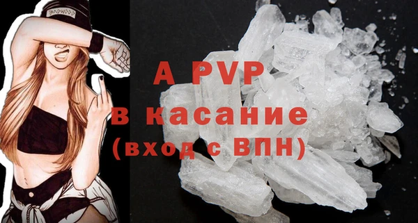 крисы Алексин