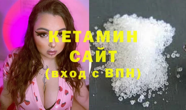 крисы Алексин