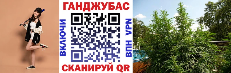 МАРИХУАНА ГИДРОПОН  цены   Константиновск 